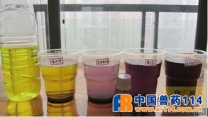 烈酒甜味背后 如何科學判斷脫霉劑處理霉菌毒素的能力？
