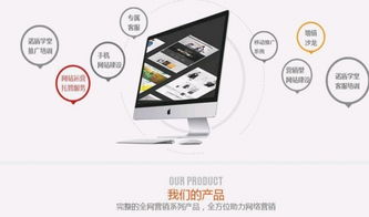 泰安諾盾 以專業(yè)網(wǎng)站建設(shè)與設(shè)計(jì)，賦能企業(yè)數(shù)字化未來